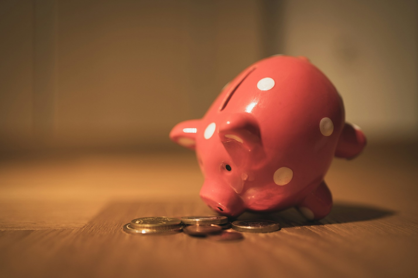 A small piggy-bank